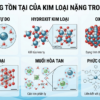 Các dạng tồn tại của kim loại nặng