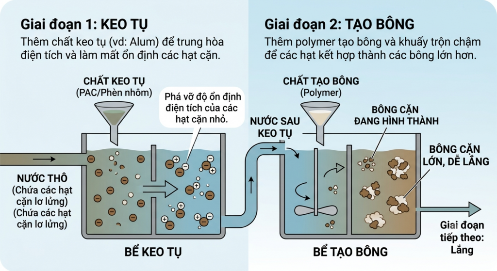 Quá trình keo tụ